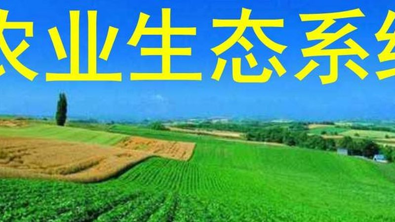 成都青白江生鲜配送：如何保障食品安全与效率