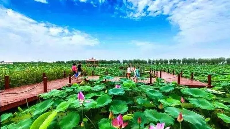 生鲜冷链物流方案哪家好