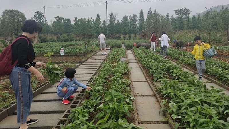 休闲农业开发，资质要求规范全解析