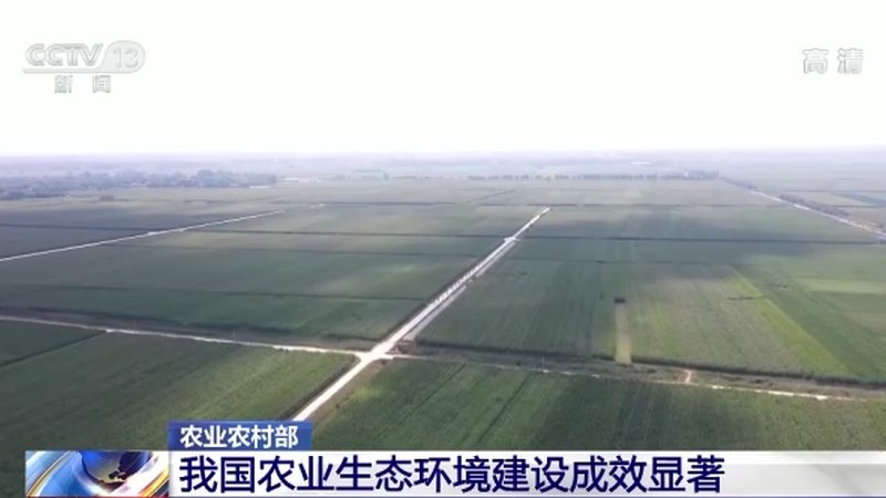 在批发粮食种子时，以下方法可以帮助我们辨别种子的优劣：