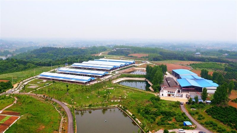 农业产业园种植品种加盟：如何选择与趋势分析