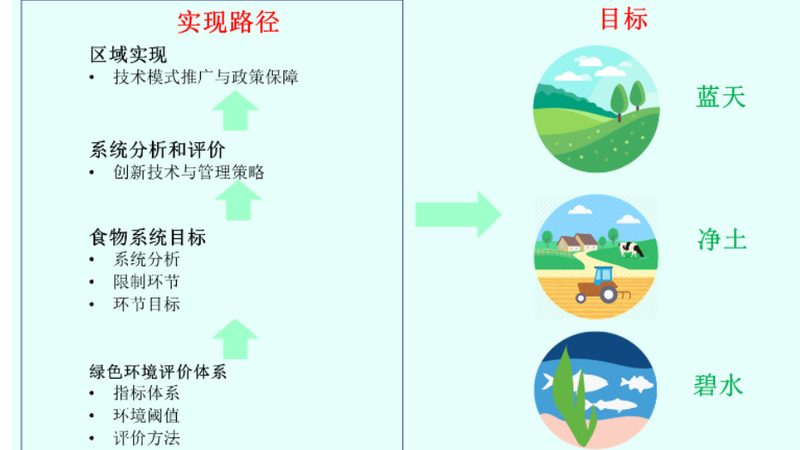 绿色食品认证，小企业如何顺利通关？**