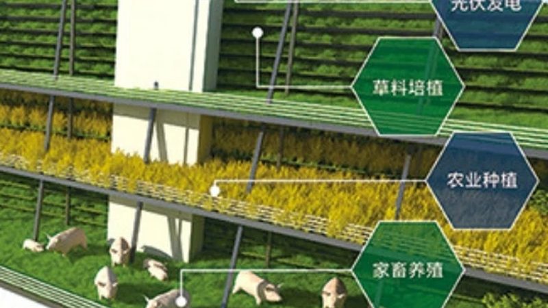 家庭农场果园管理机型号推荐