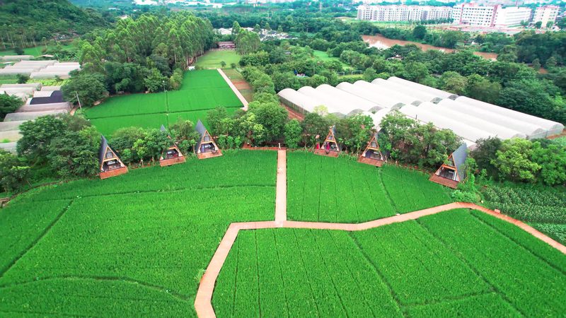 农业产业园规划设计：关键参数与要求解析**