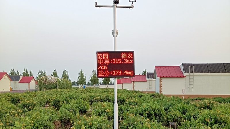 家庭农场种植规划方案