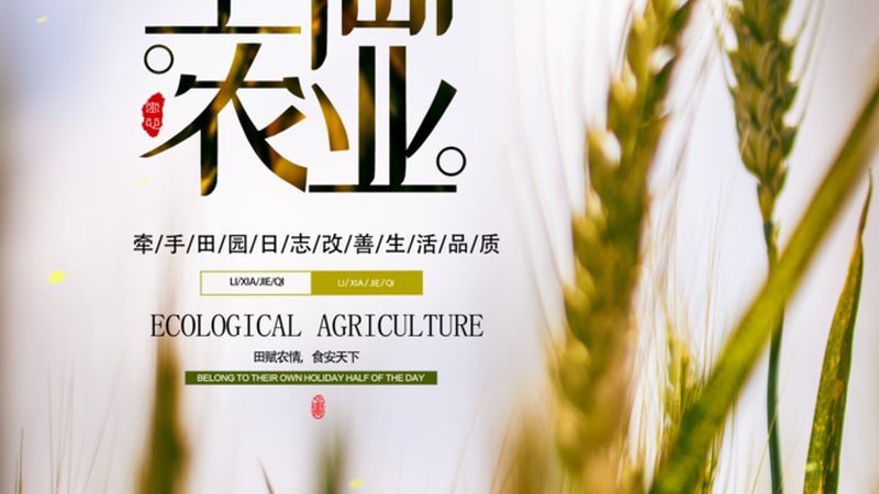 绿色食品续展需要什么材料